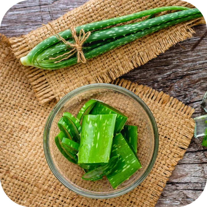 Aloevera-CO_01