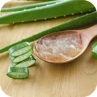 Aloevera-CO_02
