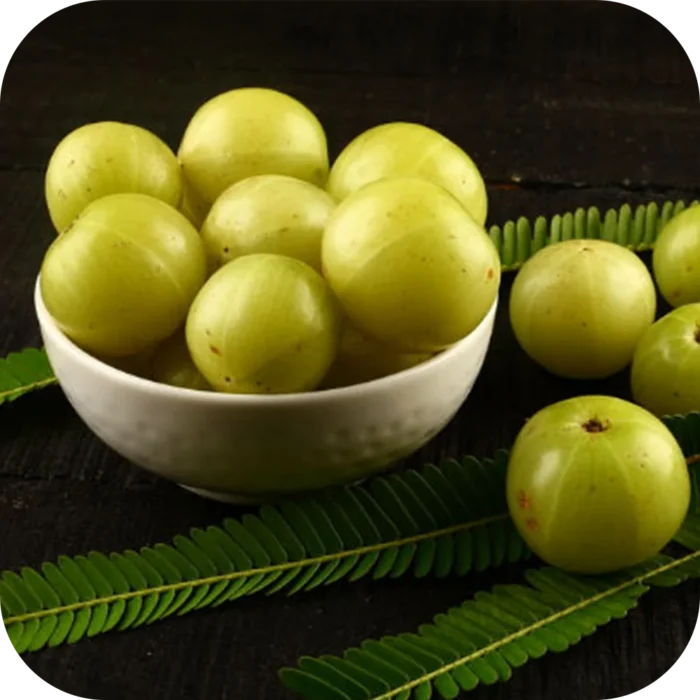 Amla-CO