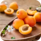 Apricot-CO_02