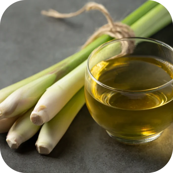 Citronella-EO