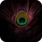 Feather-FO