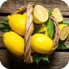 Lemon-EO