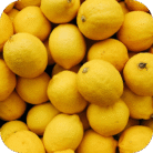Lemon-EO_02