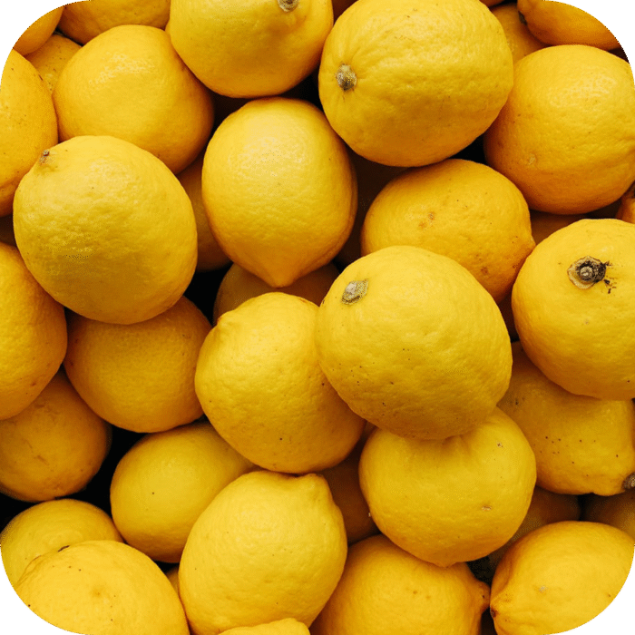 Lemon-EO_02
