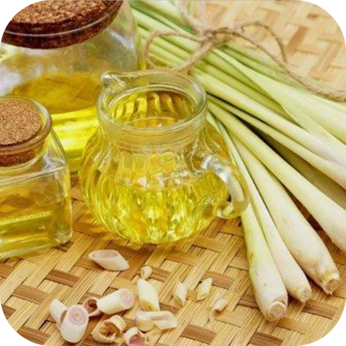 Lemongrass-FO