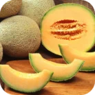 Melon-FO