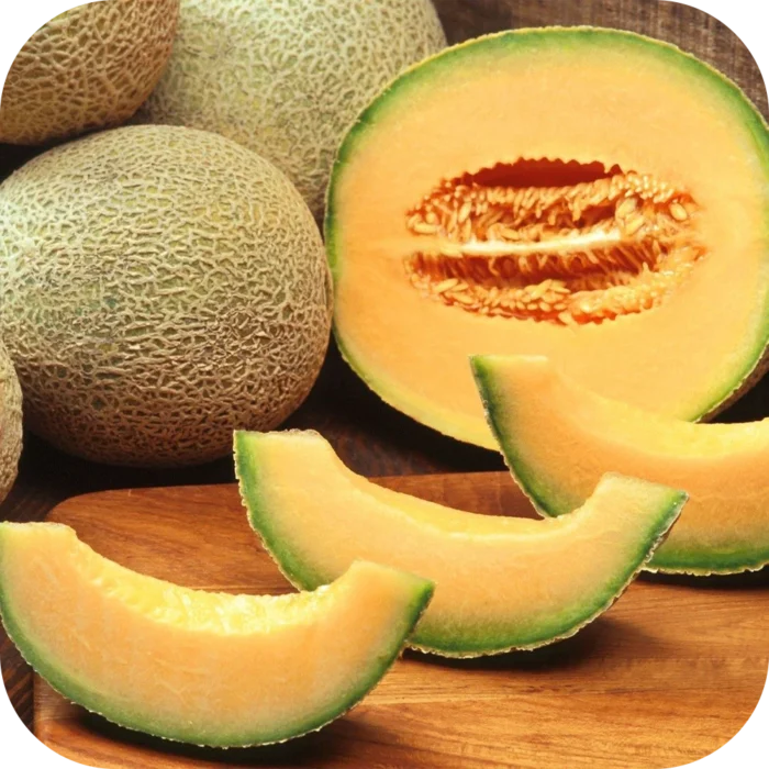 Melon-FO