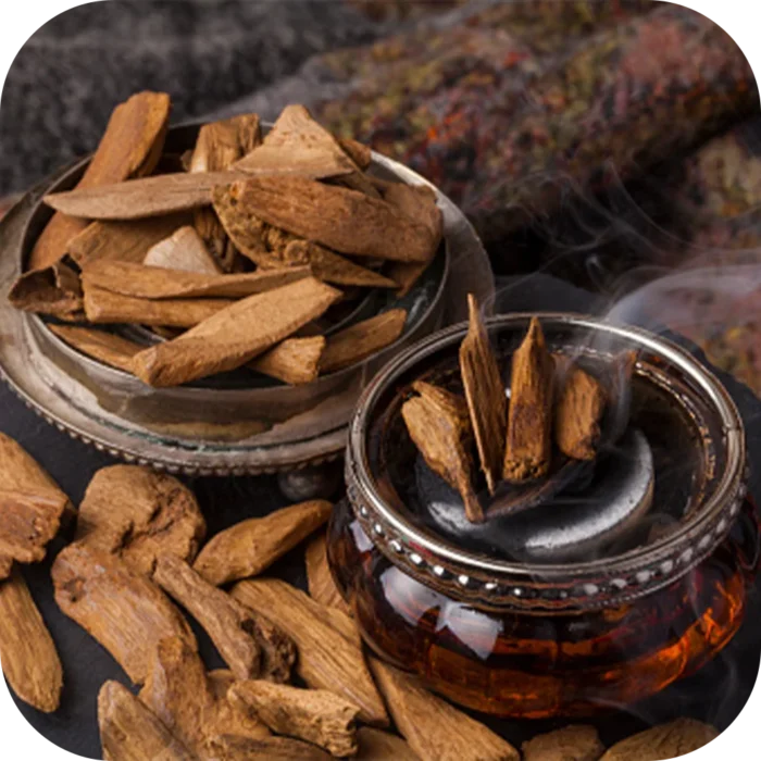 OUD-FO