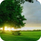 Pleasant-Day-FO