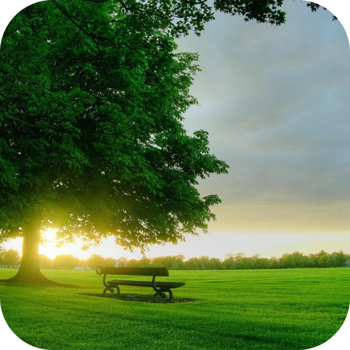 Pleasant-Day-FO