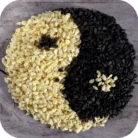 Sesame-CO_02