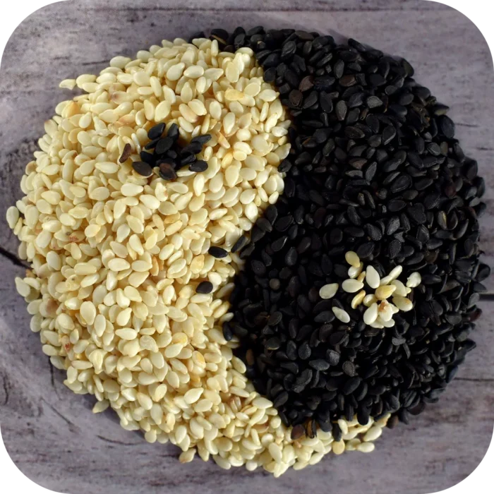 Sesame-CO_02