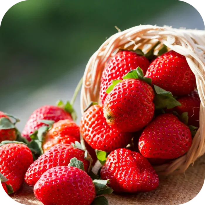 Strawberry-FO