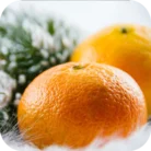 Tangerine-EO