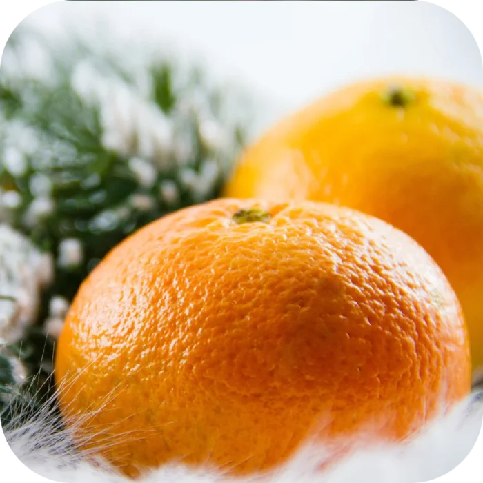 Tangerine-EO