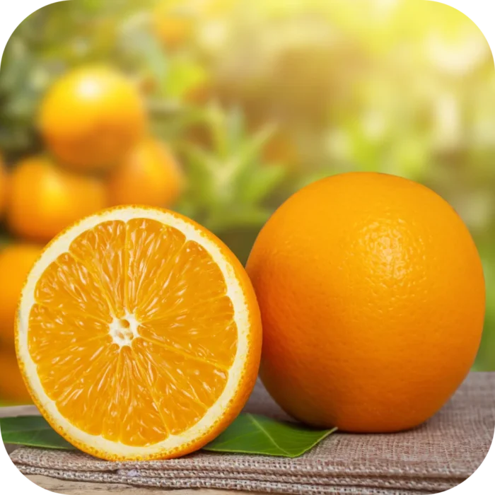 Tangerine-EO_02