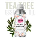 Tea-Tree-Essential-oil