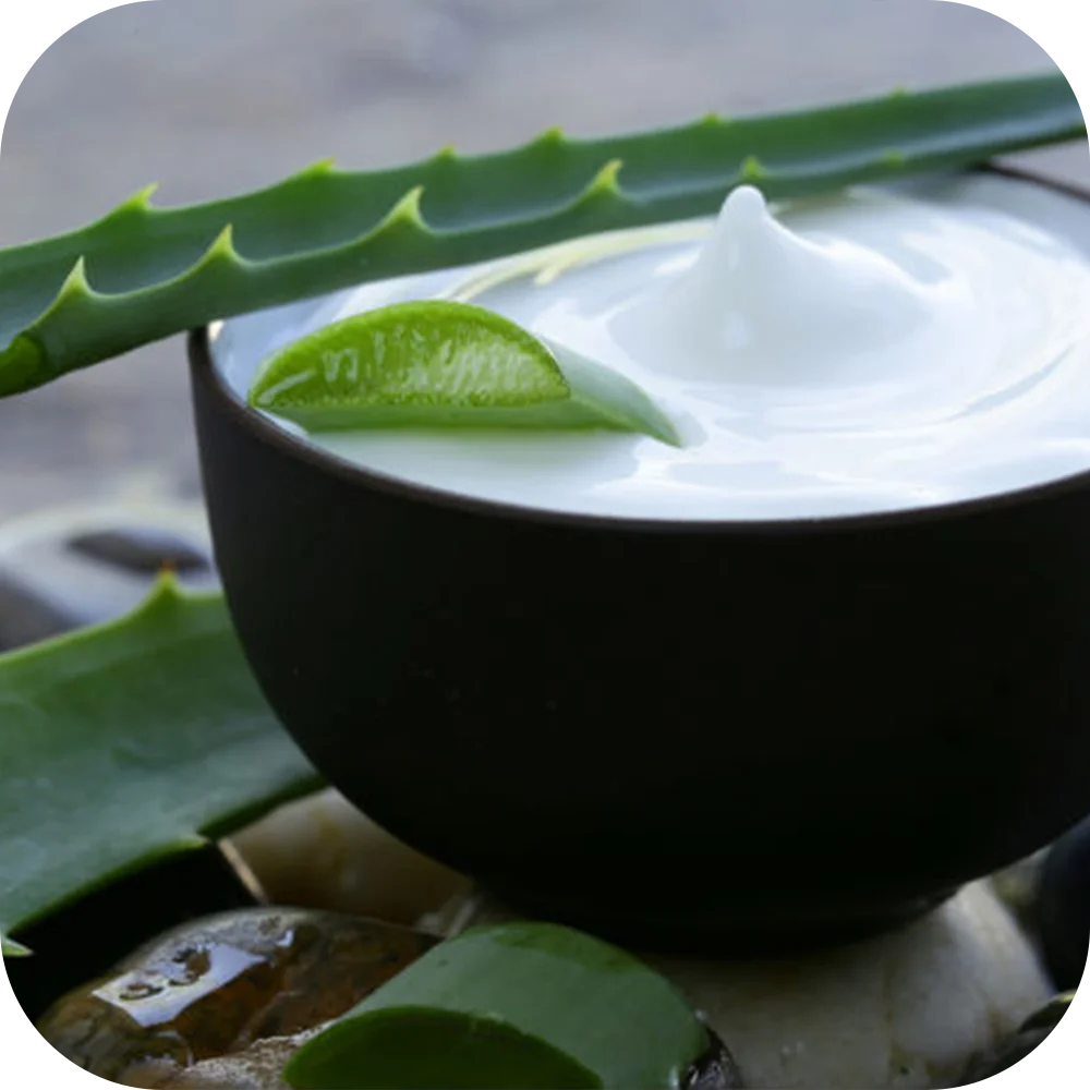 Aloe-Butter Aloe-Butter