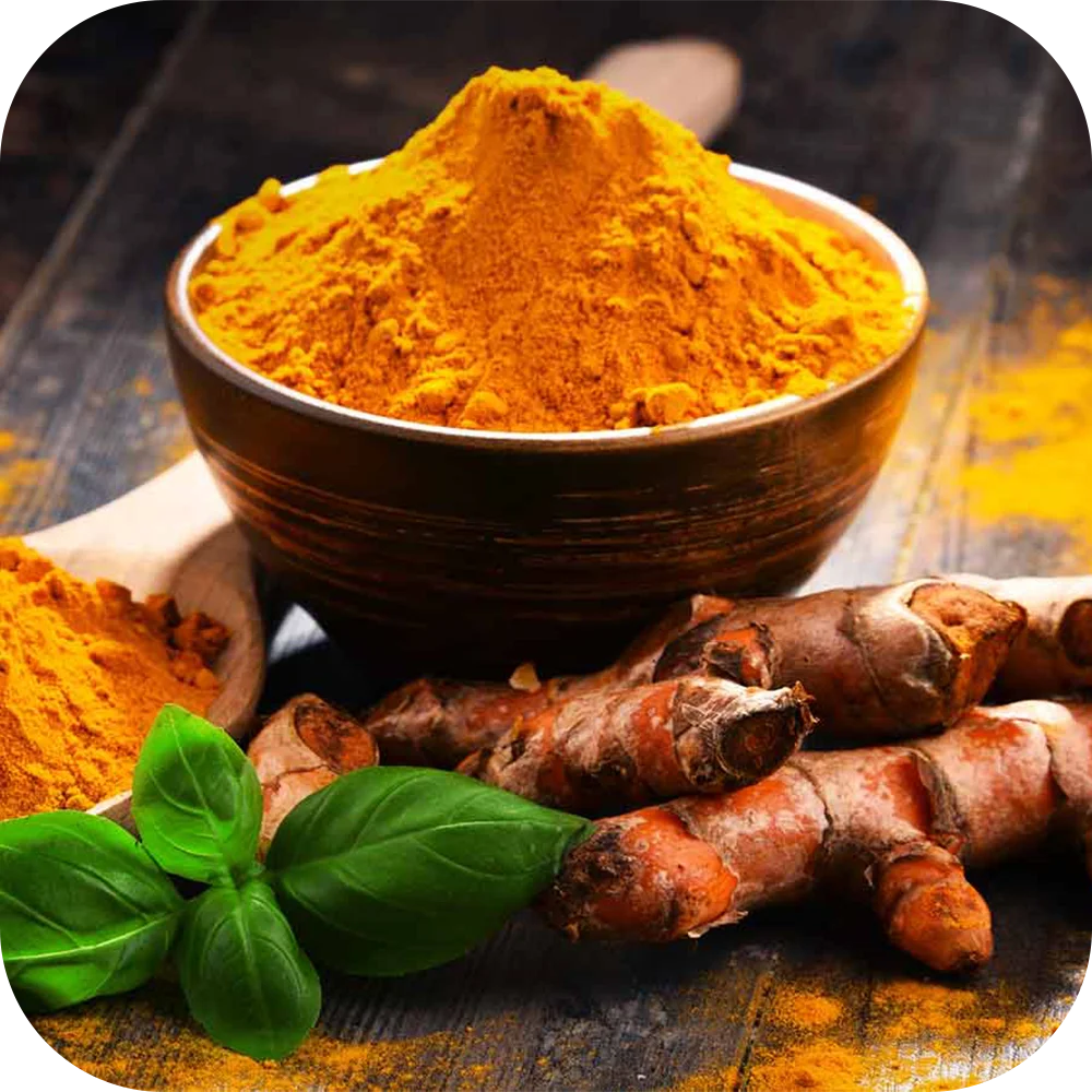 Ambehalad-HP Ambehalad-HP