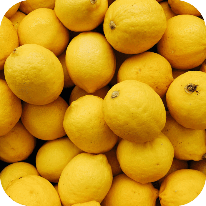 Lemon-EO_02 Lemon-EO_02