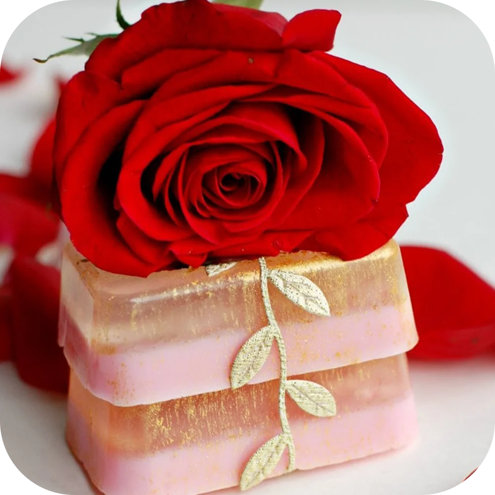 Rose-SoapBase Rose-SoapBase