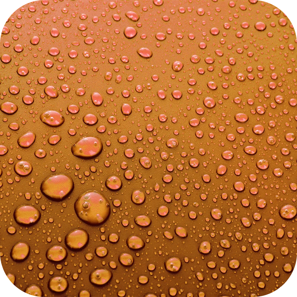 Sandal-LiquidColor Sandal-LiquidColor